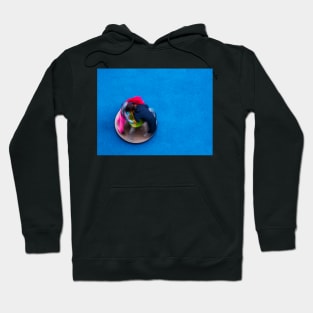 The world spins Hoodie